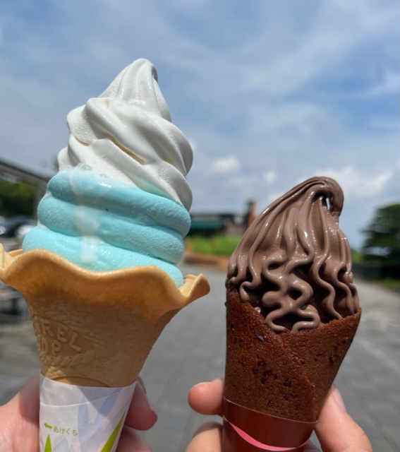 富士川SAの富士山ソフト